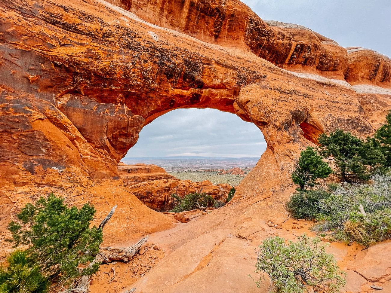 Partition arch