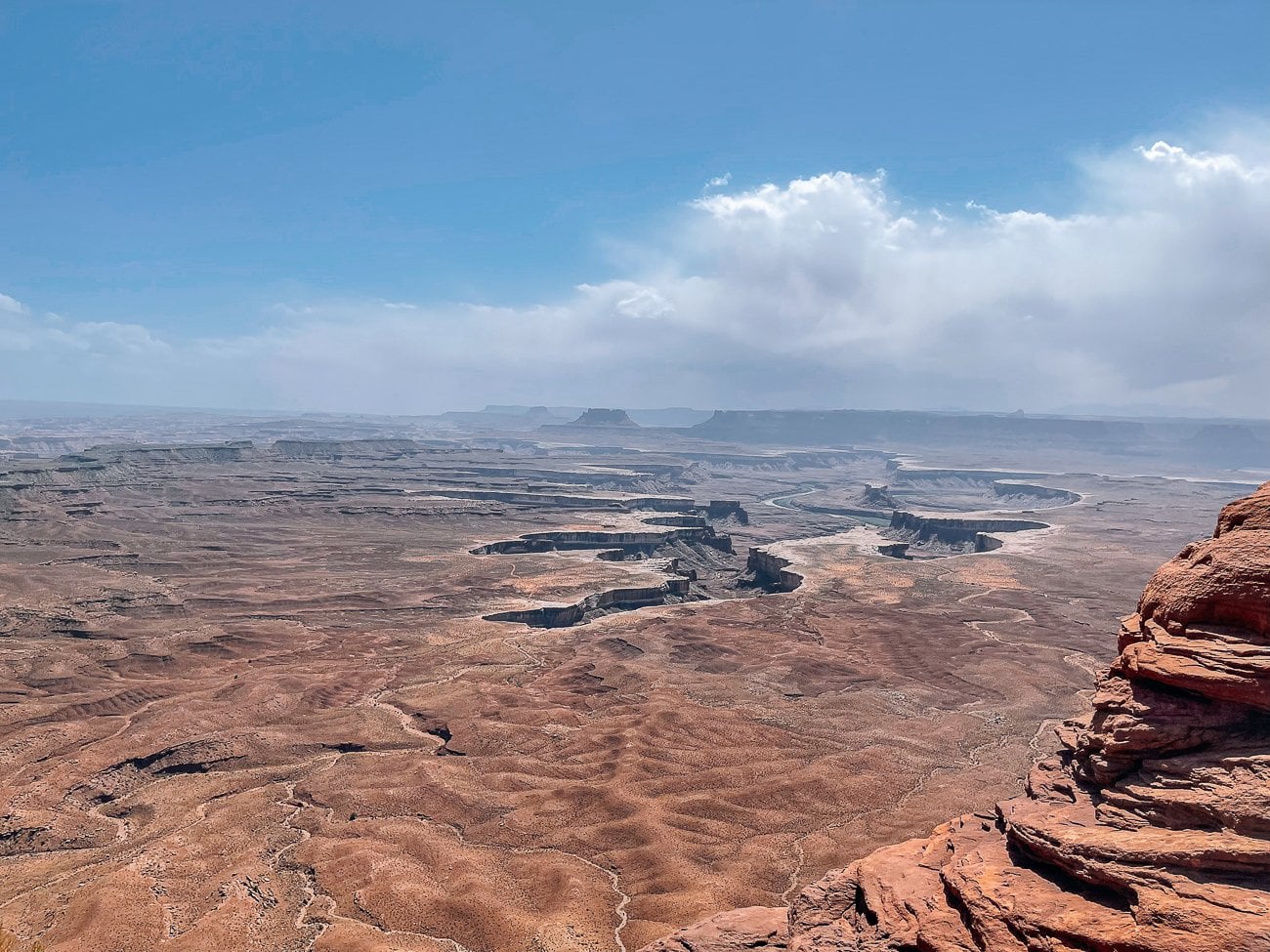 View from white rim overlook