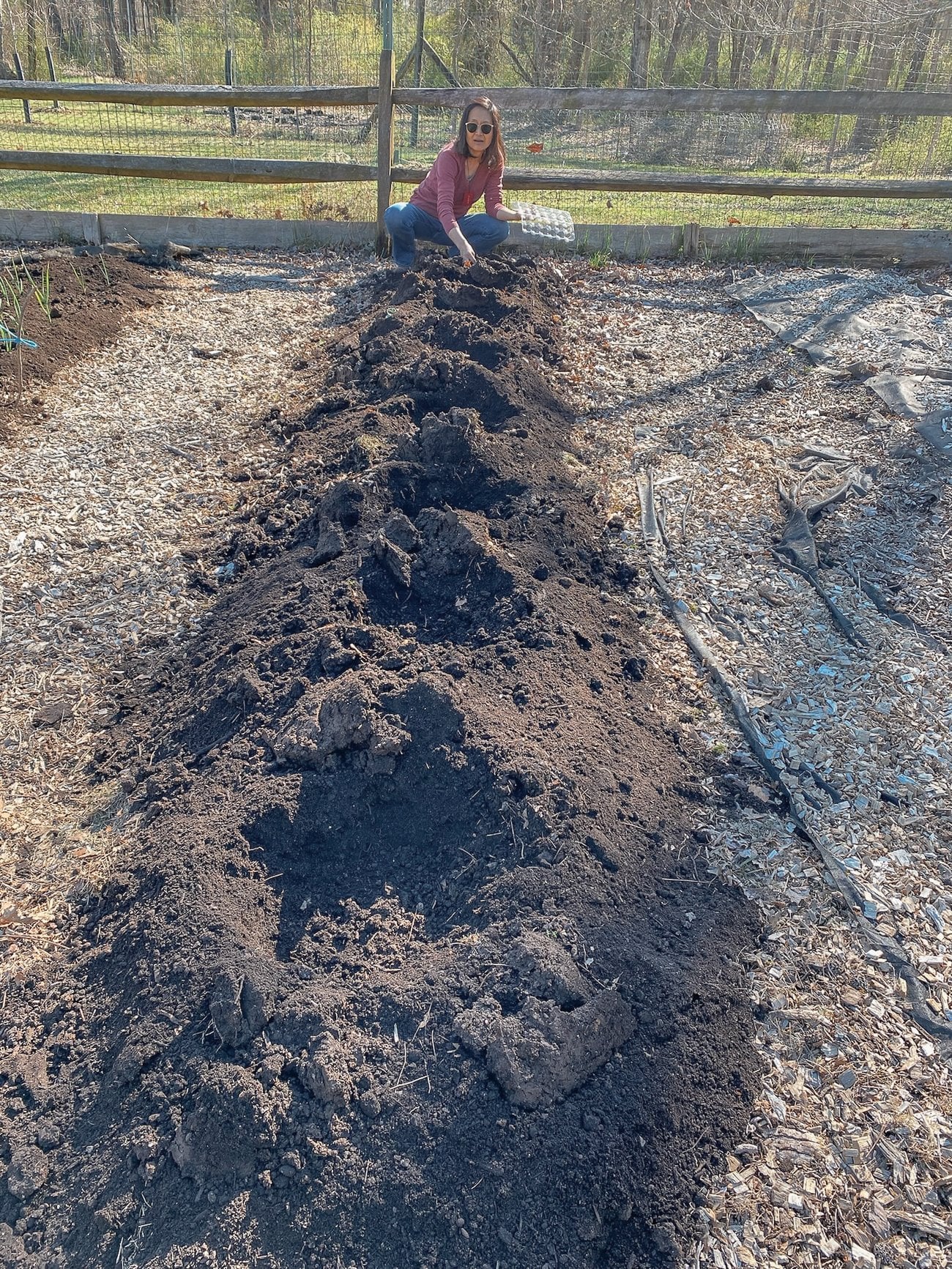 judy planting potatoes