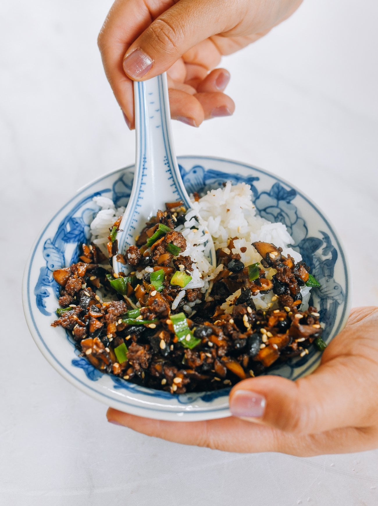 Chinese Meat Sauce with Rice