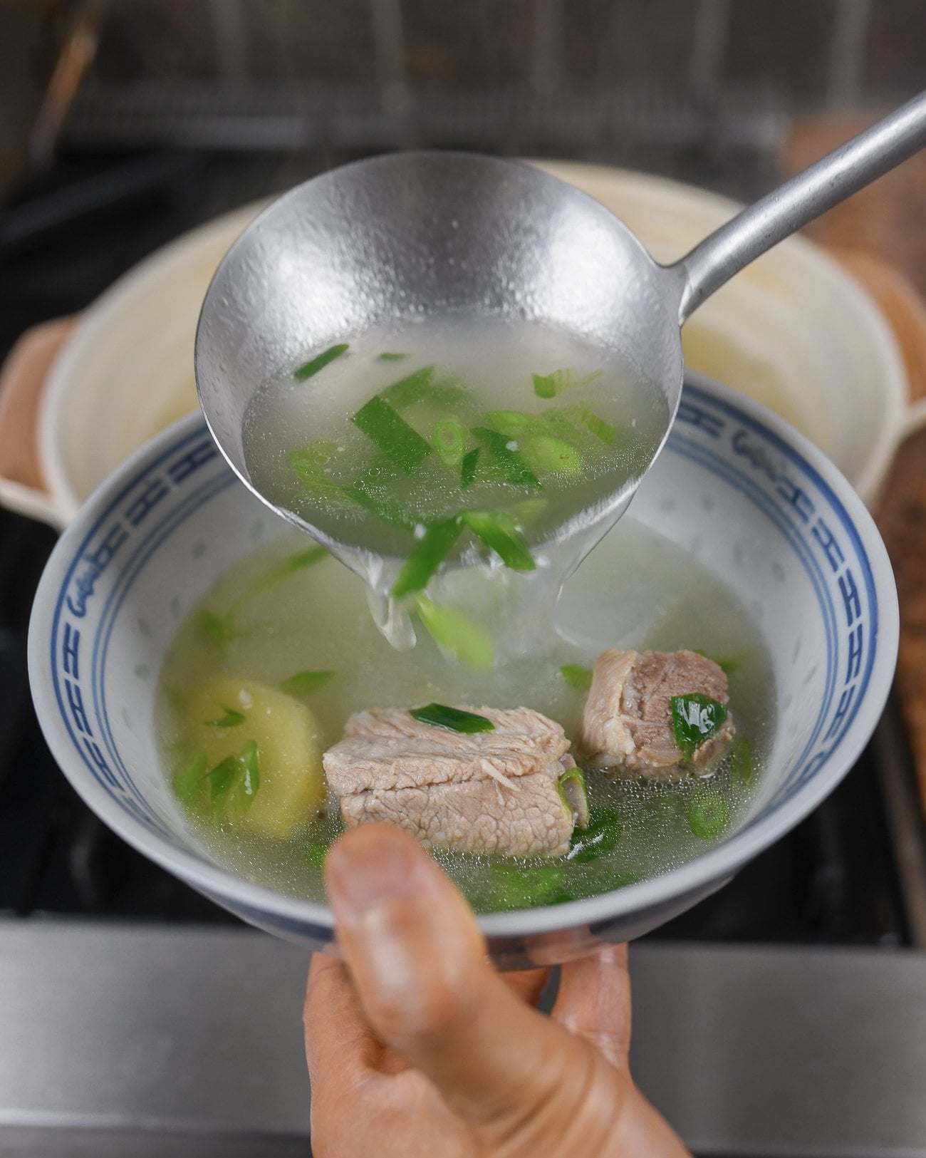 Winter Melon Soup with Pork Bones