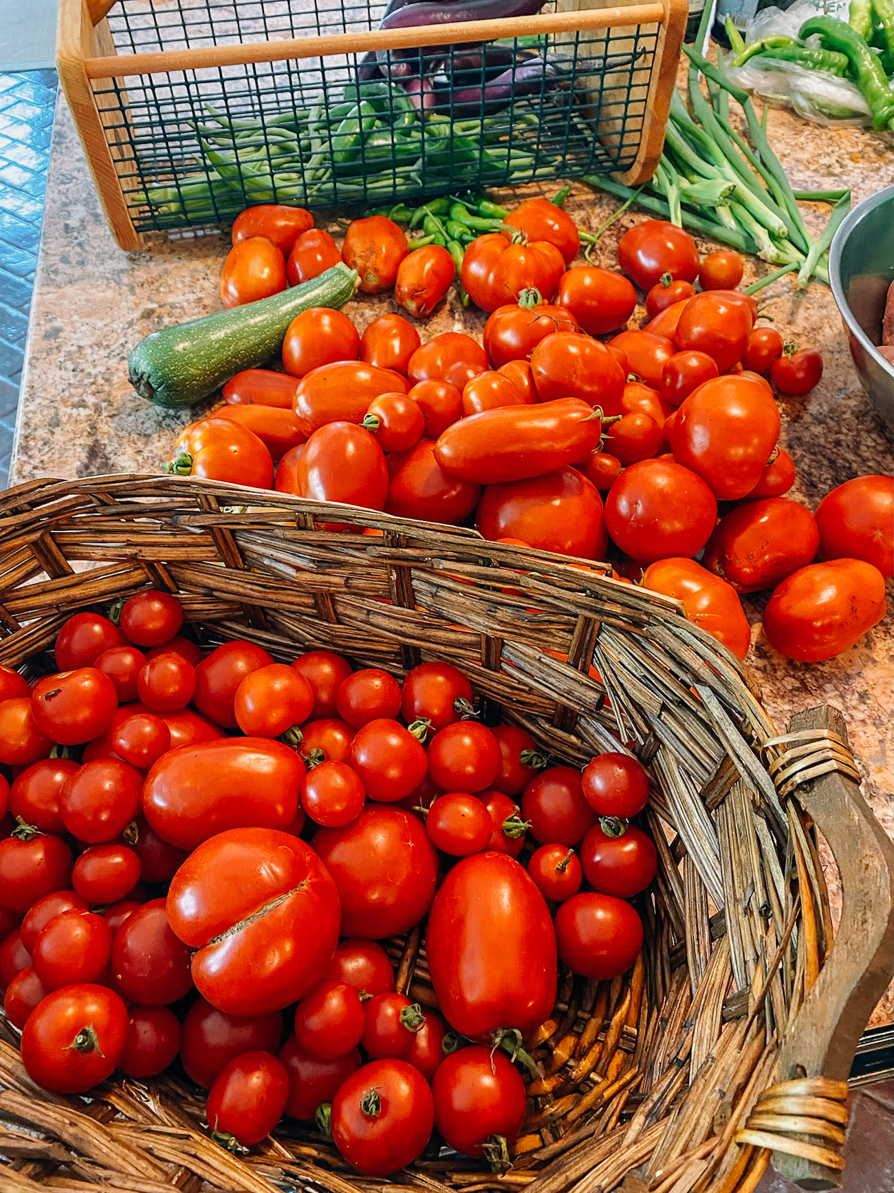 tomato harvest