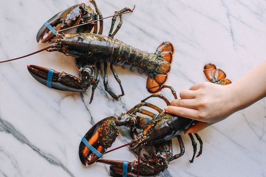 Lobster Rolls with Crispy Ginger & Scallions, by geagle.miooashdv.tk