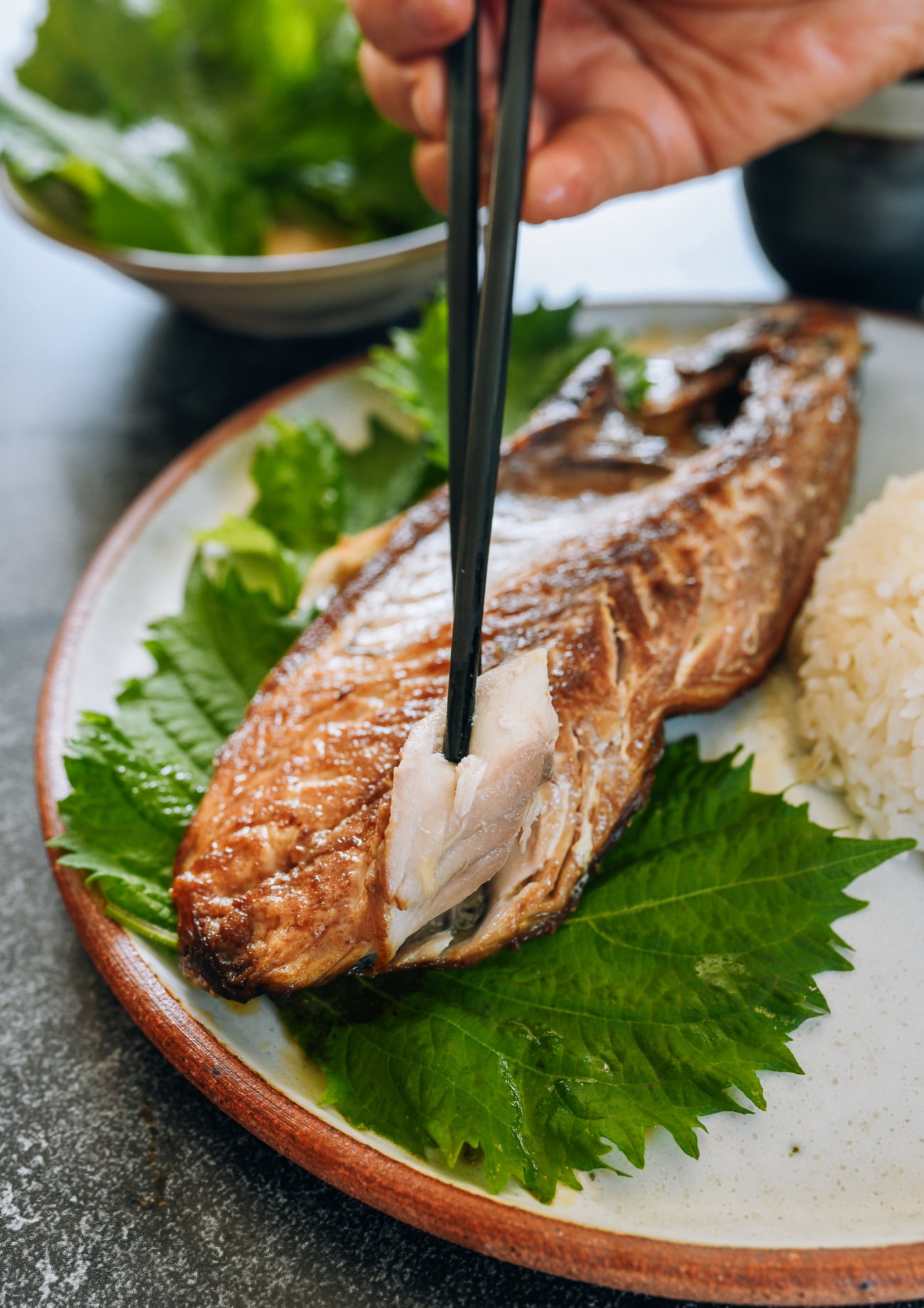 eating pan-fried mackerel with chopsticks
