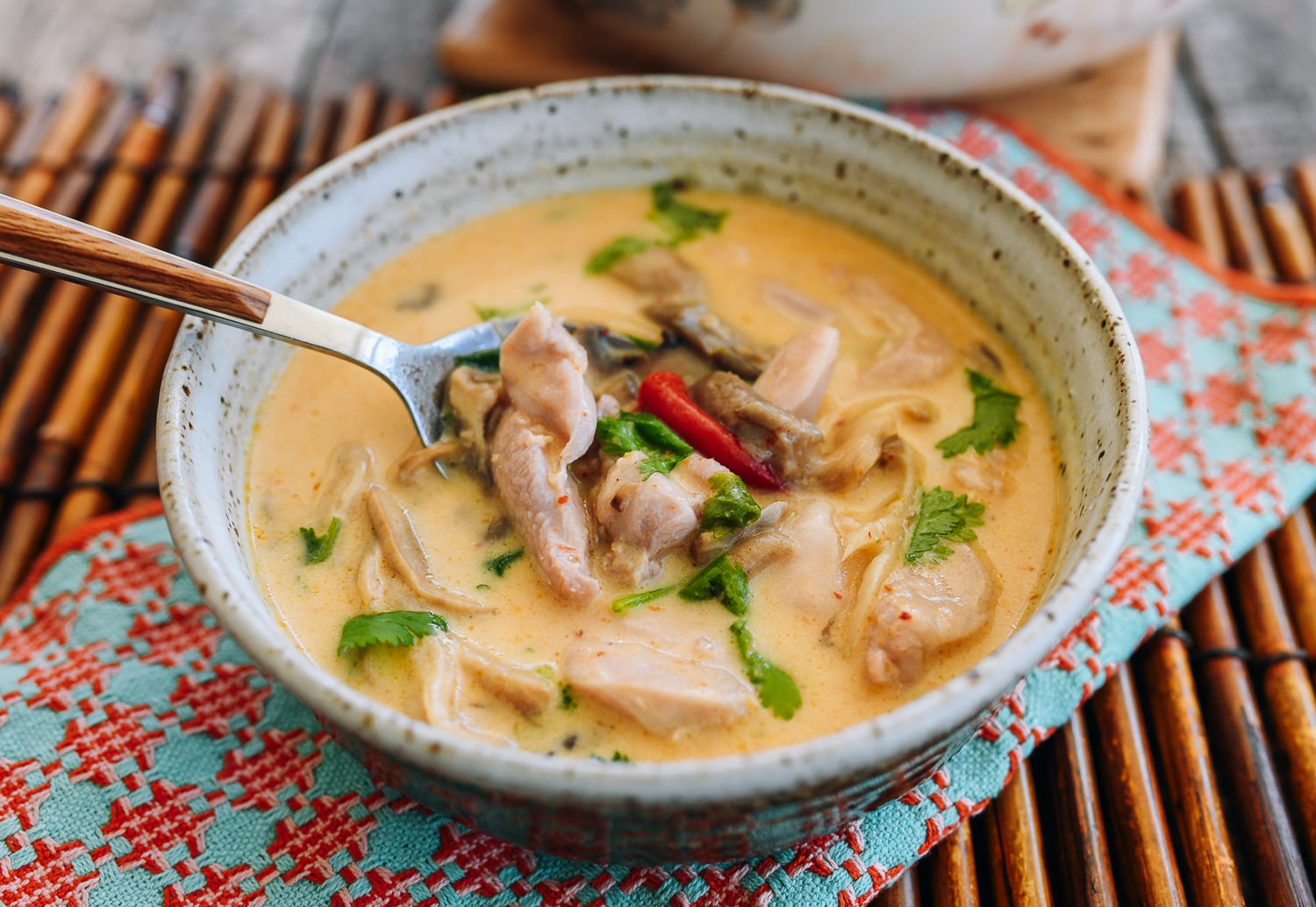 Spoonful of Thai Coconut Chicken Soup (Tom Kha Gai)