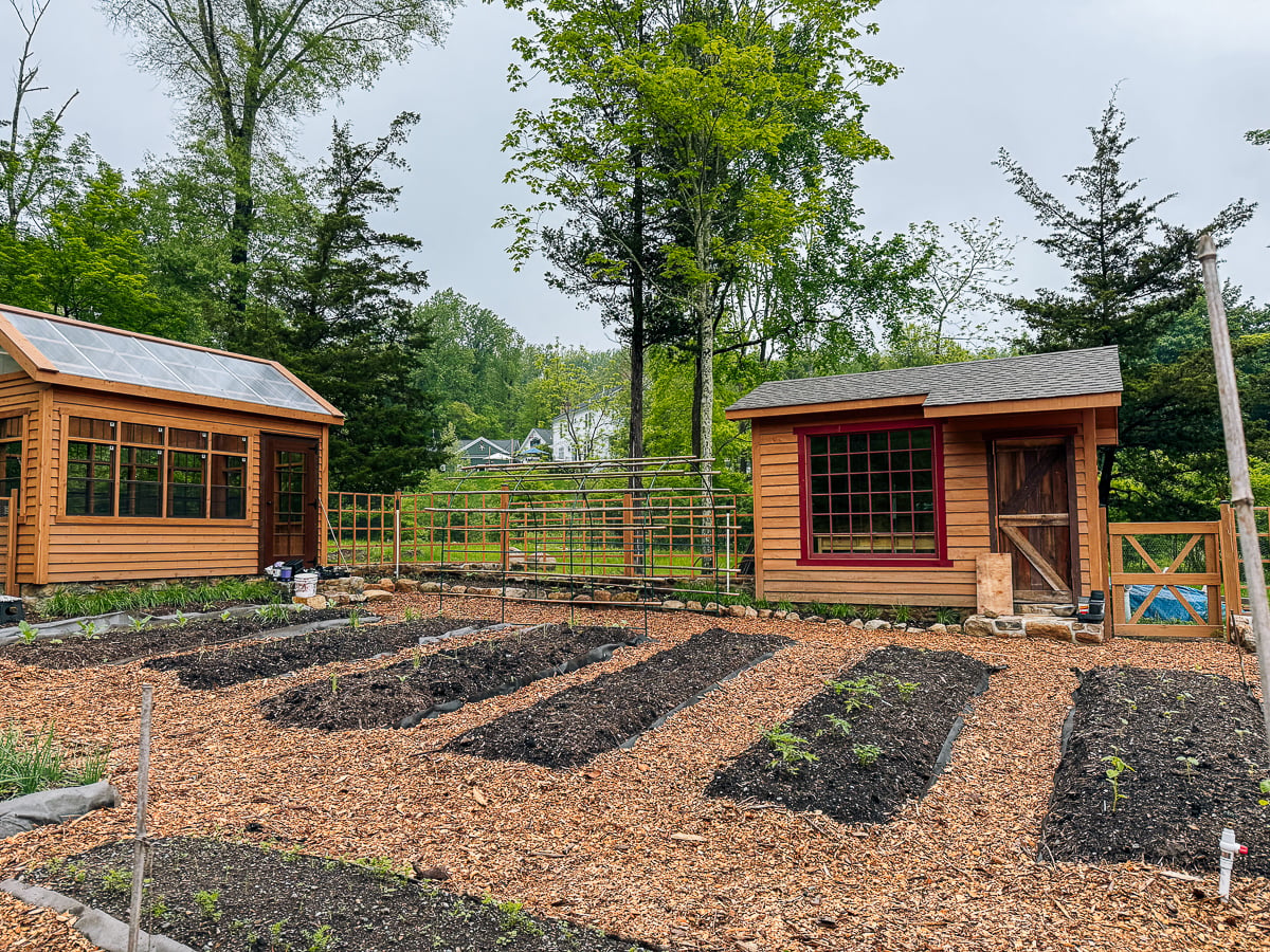Greenhouse and potting shed