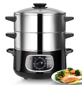 Electric Steamer
